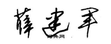 朱錫榮薛建軍草書個性簽名怎么寫
