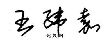 朱錫榮王緯嘉草書個性簽名怎么寫