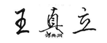 駱恆光王真立行書個性簽名怎么寫