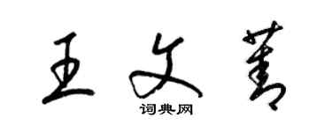 梁錦英王文菁草書個性簽名怎么寫