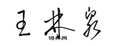 駱恆光王林泉草書個性簽名怎么寫