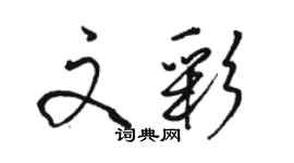 駱恆光文彩行書個性簽名怎么寫