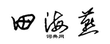 朱錫榮田海燕草書個性簽名怎么寫