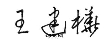 駱恆光王建樺草書個性簽名怎么寫