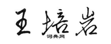 駱恆光王培岩行書個性簽名怎么寫