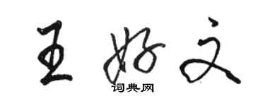 駱恆光王好文行書個性簽名怎么寫