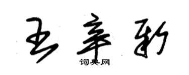 朱錫榮王辛新草書個性簽名怎么寫