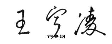 駱恆光王寧凌草書個性簽名怎么寫