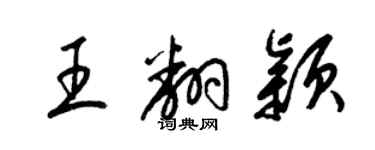 梁錦英王翻穎草書個性簽名怎么寫