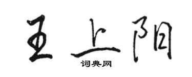駱恆光王上陽行書個性簽名怎么寫