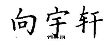 丁謙向宇軒楷書個性簽名怎么寫