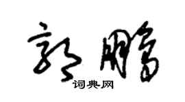 朱錫榮郭鵬草書個性簽名怎么寫