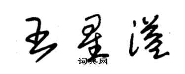 朱錫榮王星溢草書個性簽名怎么寫