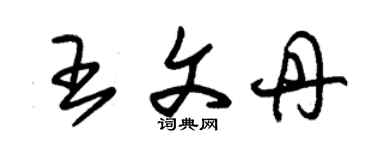 朱錫榮王文丹草書個性簽名怎么寫