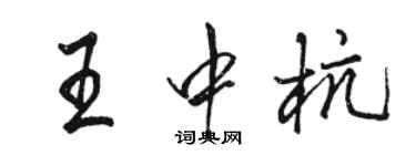 駱恆光王中杭行書個性簽名怎么寫