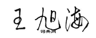 駱恆光王旭海草書個性簽名怎么寫