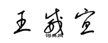 梁錦英王威宜草書個性簽名怎么寫