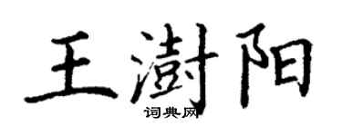 丁謙王澍陽楷書個性簽名怎么寫