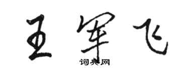 駱恆光王軍飛行書個性簽名怎么寫