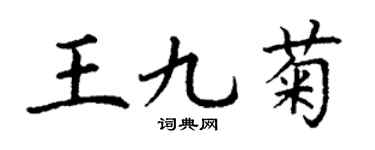 丁謙王九菊楷書個性簽名怎么寫