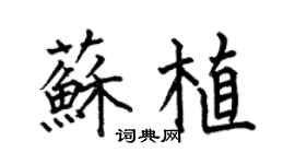 何伯昌蘇植楷書個性簽名怎么寫