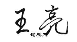 駱恆光王亮行書個性簽名怎么寫