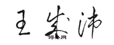 駱恆光王成沛草書個性簽名怎么寫