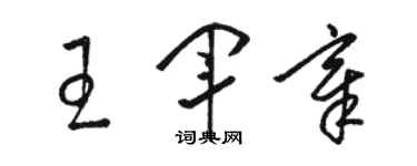 駱恆光王軍章草書個性簽名怎么寫