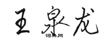 駱恆光王泉龍行書個性簽名怎么寫