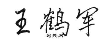 駱恆光王鶴軍行書個性簽名怎么寫