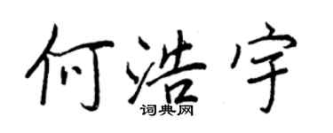 王正良何浩宇行書個性簽名怎么寫