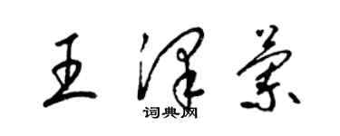 梁錦英王澤蘭草書個性簽名怎么寫