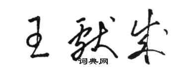 駱恆光王獻成草書個性簽名怎么寫