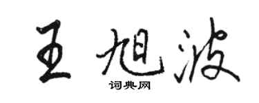 駱恆光王旭波行書個性簽名怎么寫