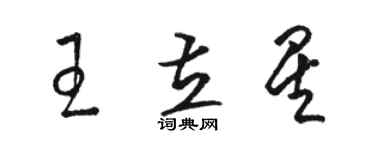 駱恆光王立星草書個性簽名怎么寫