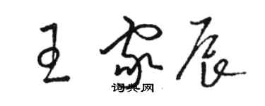 駱恆光王家辰草書個性簽名怎么寫