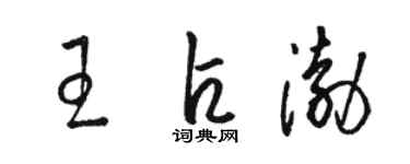 駱恆光王占渤草書個性簽名怎么寫