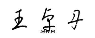 梁錦英王卓丹草書個性簽名怎么寫