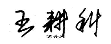 朱錫榮王耕科草書個性簽名怎么寫