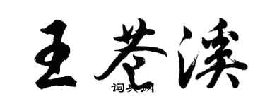 胡問遂王蒼溪行書個性簽名怎么寫