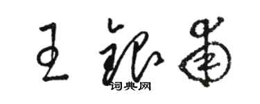 駱恆光王銀甫草書個性簽名怎么寫