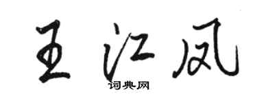 駱恆光王江鳳行書個性簽名怎么寫
