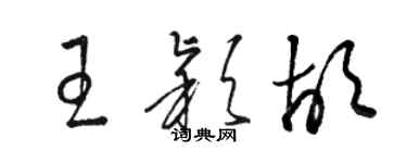 駱恆光王穎胡草書個性簽名怎么寫