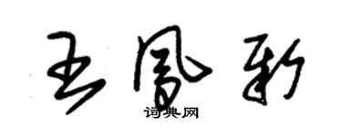朱錫榮王鳳新草書個性簽名怎么寫