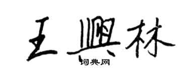 王正良王興林行書個性簽名怎么寫