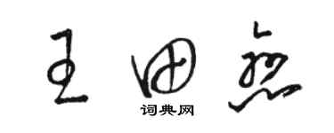 駱恆光王田戀草書個性簽名怎么寫