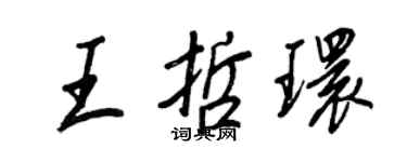 王正良王哲環行書個性簽名怎么寫
