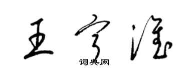 梁錦英王寧淮草書個性簽名怎么寫