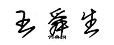 朱錫榮王舜生草書個性簽名怎么寫