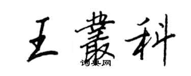 王正良王叢科行書個性簽名怎么寫